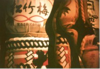 /album/metamorfose/foto-c-jpg/